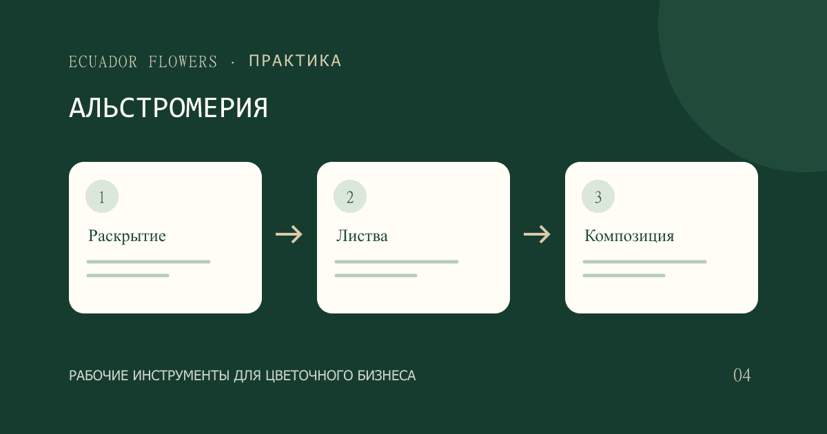 Альстромерия для сборных букетов: как выбрать партию