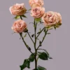 Be Generous — фото 5