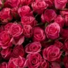 Brilliant Stars Bonbon — фото 6