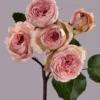 Garden Bridal Jewel — фото 4