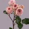 Garden Bridal Jewel — фото 5