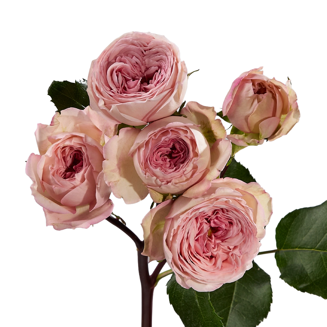 Garden Bridal Jewel — фото 7