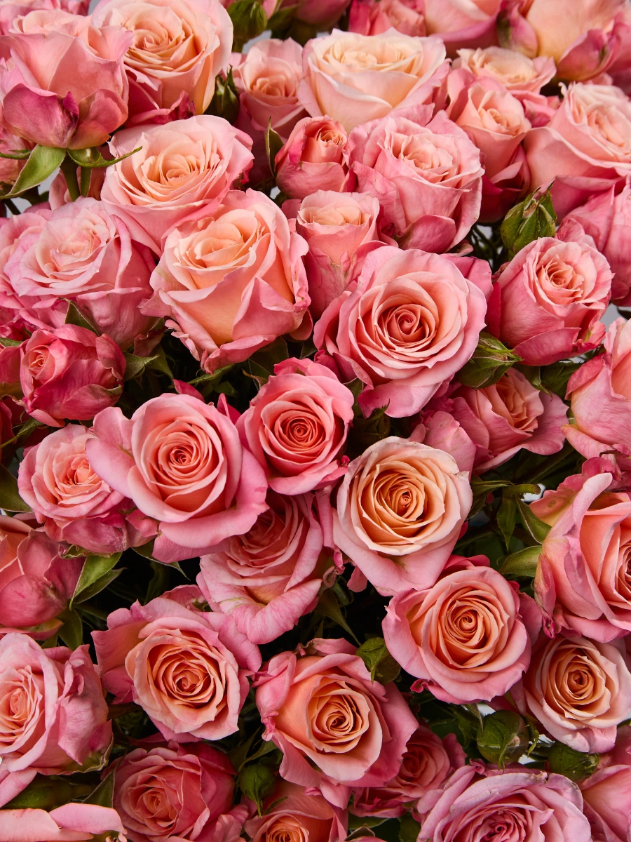 Peachy Pink Jewel — фото 3
