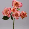 Peachy Pink Jewel — фото 4